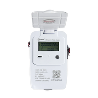 Compteur d'eau à ultrasons LoRaWAN DN15 IP68 4G/NB-IoT/RS485/Modbus avec sortie impulsionnelle, numérique sans fil, boîtier plastique, OEM
