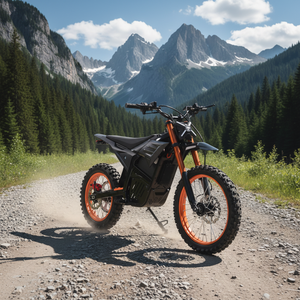 Motocicleta Eléctrica con Batería de Litio de 22.5AH y Motor sin Escobillas de 4500W para Adultos, Precio al por Mayor - Product Image 6