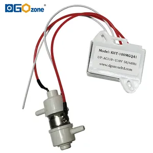 Dgozone Quartz Buis Ozonator Voor Lucht En Water 100 Mg/Hr Ozon Generator Systeem