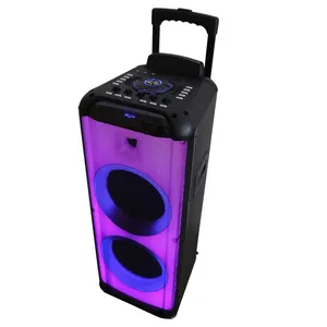 2023 Cqa DJ Đảng Với PA Âm Thanh Và Ánh Sáng Laser Powered Kép 10 Inch 80W Loa USB, Màu Xanh Răng, TF Thẻ