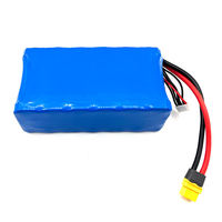 Batterie au lithium IP54 étanche à la poussière, enveloppée de silicone, 48V 15Ah 20Ah 25Ah 30Ah pour sonnette sans fil, détecteur de fumée, alarme incendie 48V 25Ah
