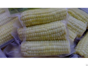 Maíz Blanco/Maíz Amarillo de Vietnam +84 845 639 639 - Product Image 2