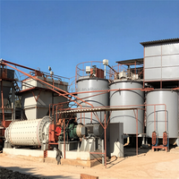 Usine de traitement de l'or CIL complète pour l'extraction aurifère en Zambie, capacité 300 TPD