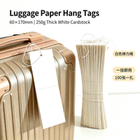 Étiquettes de bagages et de rangement vierges universelles, avec cordon élastique pré-enfilé, cartes d'accès, étiquettes de stockage temporaires