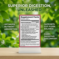Complément alimentaire pour l'intestin à marque privée GMP, probiotiques, prébiotiques, enzymes digestives en capsules pour une digestion saine, capsules de probiotiques