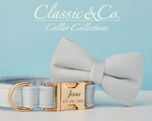 Ensemble laisse et collier personnalisés Lihtblue Veet avec boucle en métal gravée sur mesure, cadeau d'anniversaire pour chiot gratuit - Product Image 3