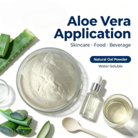 Poudre d'extrait de feuille d'Aloe Barbadensis 100:1 de qualité cosmétique, en vrac, pour la fabrication de gel d'aloe vera et comme matière première pour les soins de la peau
