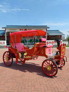 Magnifique chariot de mariage pour votre jour de mariage, transport à chevaux époustouflant, décoration de réception unique - Product Image 6