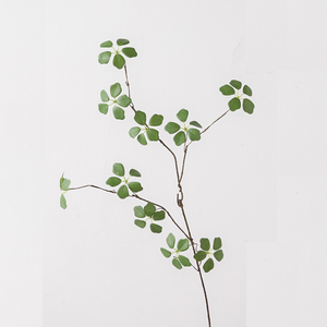 ดอกไ<span class=keywords><strong>ม</strong></span>้ประดิษฐ์หวายสีเขียวอ่อนผลิตจากโรงงานจีนจีนแบบเซนจำลองการจัดใบบัว - Product Image 2