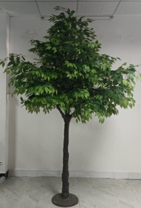 Paisajismo y jardinería y decoración del hogar u oficina del hotel Árbol de <span class=keywords><strong>ginkgo</strong></span> 3m - Product Image 5