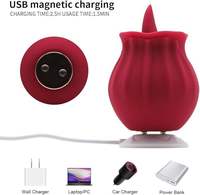 Vibrateur Rose en gros d'usine, portable, étanche, rechargeable, jouet de plaisir féminin