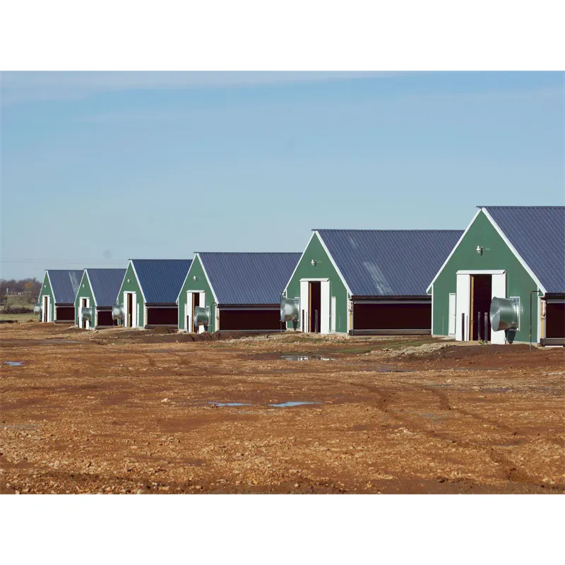 Prefab Kip Boerderij Ontwerp Moderne Kippenboerderij Ei Laag Pluimvee Huis Ontwerp Voor Kippenboerderij