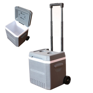 Factory Custom Vaccine Carrier Ice Chest Cooler 18L 3KG Handle Ice Cooler with Wheel