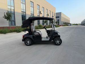 Nouveau bus touristique 6 places, chariot de golf électrique pour club de chasse - Product Image 2
