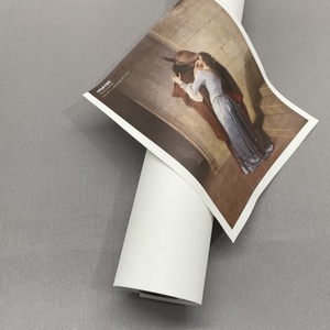 Lona de Arte de poliéster impermeable de inyección de tinta de gran oferta <span class=keywords><strong>Imatec</strong></span> para tinta de pigmento/tinte - Product Image 2