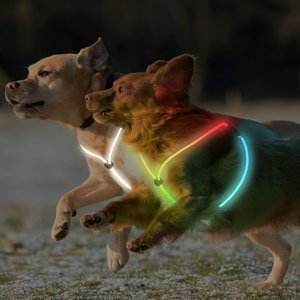 Arnés de fibra óptica para perros USB de 6MM, chaleco LED para perros que brilla intensamente para pasear al perro por la noche