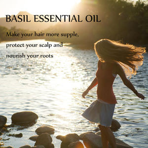 <span class=keywords><strong>Huile</strong></span> <span class=keywords><strong>essentielle</strong></span> de basilic doux biologique pour la peau-100% Pure Natural <span class=keywords><strong>Ocimum</strong></span> <span class=keywords><strong>Basilicum</strong></span> Leaves Vapeur Distillée | En vrac 1kg - Product Image 5