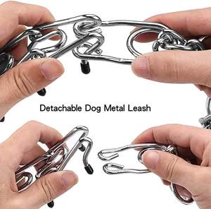 Metalen Hond Training <span class=keywords><strong>Prong</strong></span> Kraag Verwijderbare Zwarte Pet Link Ketting Verstelbare Rvs Spike Ketting Met Comfort <span class=keywords><strong>Rubber</strong></span> Tip - Product Image 5