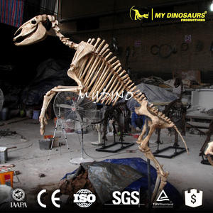 Alismy Dino DS725 squelette d'animal, modèle 3d, squelette de cheval - Product Image 2