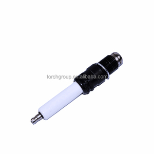 หัวเทียนเครื่องยนต์แก๊ส R6GC1-77 76 64 375 และ 76 64 416B หัวเทียนอุตสาหกรรม - Product Image 1