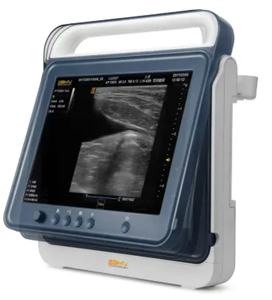 Giá cả phải chăng động vật máy siêu âm cảm ứng B/W Hệ thống di động pt50a phòng khám thú y thiết bị siêu âm - Product Image 1