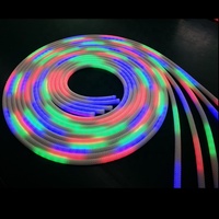 Bande lumineuse LED néon flexible tressée RGBIC adressable à 360 degrés, étanche IP67, avec CRI 90 élevé et fonction dimmable