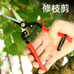 Long Straight-Tipped Pruning Shears Steel Blade Bypass Type For Fruit Vegetable Grape Picking Zhejiang Origin - Product Image 2