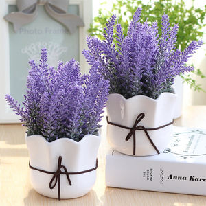 Nordique de haute qualité décoration de la maison bonsaï succulente céramique intérieur planteur Pot - Product Image 3