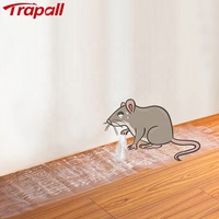 Piège à colle transparent jetable et durable pour rats et souris – Répulsif anti-nuisibles