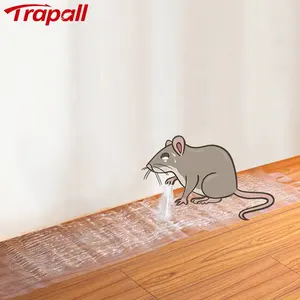 粘板老鼠啮齿动物控制捕捉器老鼠胶水捕捉器透明一次性可持续驱鼠器捕捉器科尔老鼠