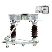 Interrupteur d'isolement conforme aux normes DGG, sectionneur de haute qualité pour les projets de réseaux électriques internationaux et les appels d'offres en matière d'énergie