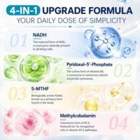 Complément de beauté OEM : Capsules NADH à absorption élevée avec complexe B méthylé pour un vieillissement sain et un regain d'énergie, 60 gélules