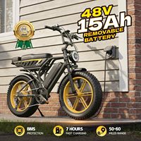 Vélo électrique TST R9 pour adultes, moteur 250W, batterie intégrée 48V 15Ah/35Ah, autonomie 55-190 km, vitesse 25 km/h, pneus larges 20 pouces