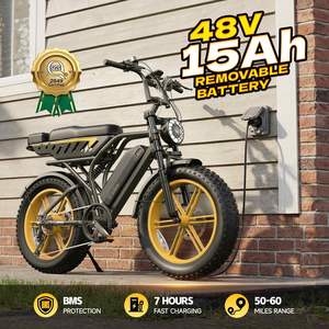 Bicicleta Eléctrica TST R9 para Adultos, Motor de 250W, Batería Integrada de 48V 15Ah/35Ah, Alcance de 55-190km, 25 km/h, Neumáticos Gruesos de 20 Pulgadas - Product Image 3