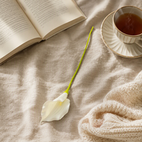 Bunga Calla Lily Sutra Berbagai Warna, Laris Manis, Sentuhan Alami, untuk Dekorasi Meja Makan & Rangkaian Pernikahan