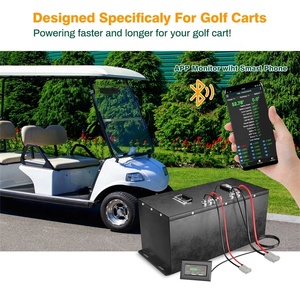 Batería de Litio 51.2V 100Ah con Caja Metálica, Tasa de Descarga 3C, para Carro de Golf, Vehículo de Baja Velocidad, Paquete Recargable - Product Image 6