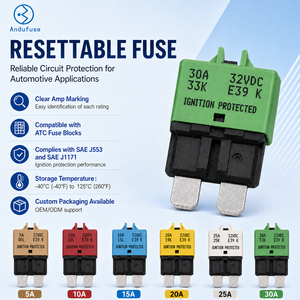 Disjoncteur miniature E39 à faible puissance de coupure 20A 25A 30A, avec bouton-poussoir et récupération manuelle, fusible à lame standard pour câblage automobile - Product Image 1