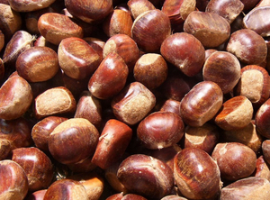 Máquina Automática para Tostar Nueces a <span class=keywords><strong>Precio</strong></span> de Descuento, Máquina Comercial para Tostar Nueces, Máquina para Caramelizar Nueces - Product Image 5