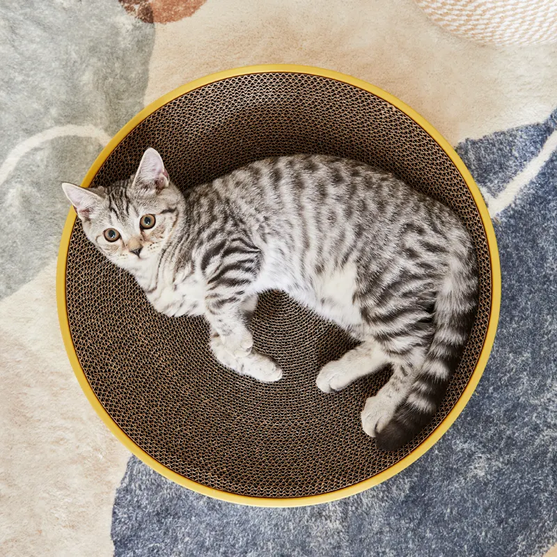 Mainan goresan kucing kardus interaktif bentuk bulat kuning biru hijau Tiongkok mainan gores bergelombang papan sirkuit