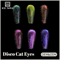 BD Disco Cat Eye Gel Polonais 12 Couleurs Série Poudre Délicate Paillettes Hema Gratuit 10ml Échantillon En Gros Oem Effet Évident