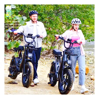 Lady e-bisiklet ab depo döngüsü elektrikli ucuz hızlı bisiklet Electr bisiklet kadın 250w ab Ebike OUXI Q8 Fatbike