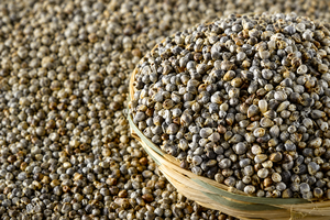 Quinoa <b>Seeds</b> 500g Natural Organic Grain Dry <b>Storage</b> Ready for Cooking Healthy organic grain Quinoa for cooking - Product Image 1