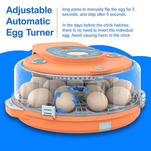 Incubadora de 15 Huevos con Control Inteligente de Temperatura y Humedad, Volteo Automático, Ventana Transparente con Vista de 360 Grados, para Uso Doméstico y Agrícola - Product Image 5