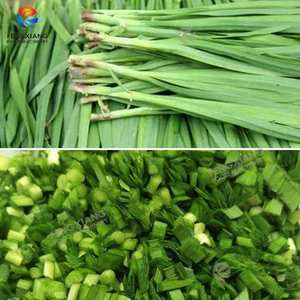 Machine à découper les légumes FC-306D commerciale pour ciboulette feuilles d'ail germes longs haricots oignon vert laitue légume - Product Image 4