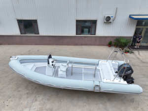 Bateau de pêche et de plaisance en fibre de verre Profisher de 8 m, expédié - Product Image 3