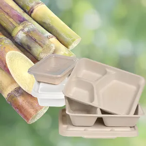 Caja Biodegradable de papel de caña de azúcar para restaurante, contenedor de comida rápida para llevar comida, embalaje c, pulpa, almuerzo, bagazo