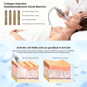 NewFace Luxury Aesthetic Clinic, équipement de régénération cutanée anti-glycation, jet d'oxygène, hydra-lifting, réparation en 1 seul appareil facial - Product Image 2