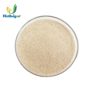 Оптовая продажа порошка шелухи подорожника (сислии) 99% пищевой категории, травяной экстракт - Product Image 1