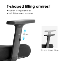 Chaise de bureau ergonomique en mesh, échantillon gratuit, chaise pivotante confortable pour ordinateur, mobilier de bureau à domicile.