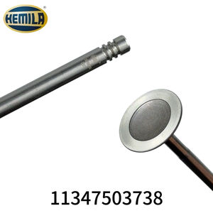 วาล์วไอดีแท้ HEMILA สำหรับรถยนต์ซีรีส์ 3 X1 X5 E53 N46 N62 รหัสอะไหล่แท้ 11347503738 อะไหล่ใหม่ ชุดวาล์วไอดี 8 ตัว ระบบวาล์วเครื่องยนต์ - Product Image 3